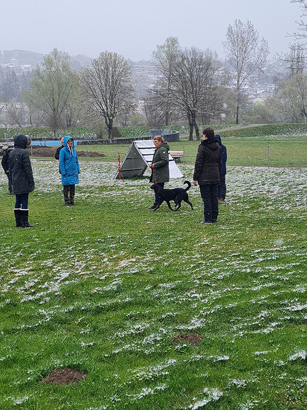 Begleithundeprüfung am 02.04.2022