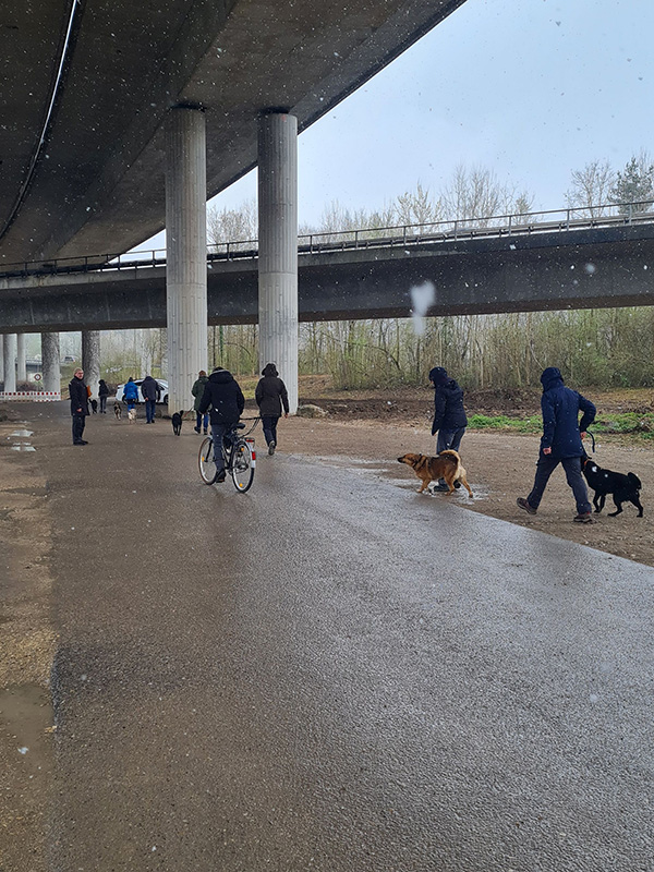 Begleithundeprüfung am 02.04.2022