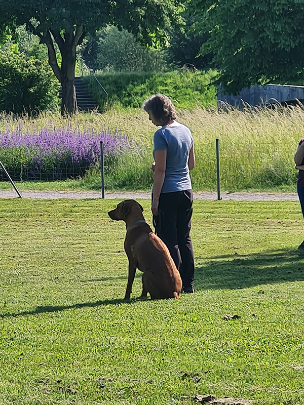 Begleithundprüfung 03.06.2023