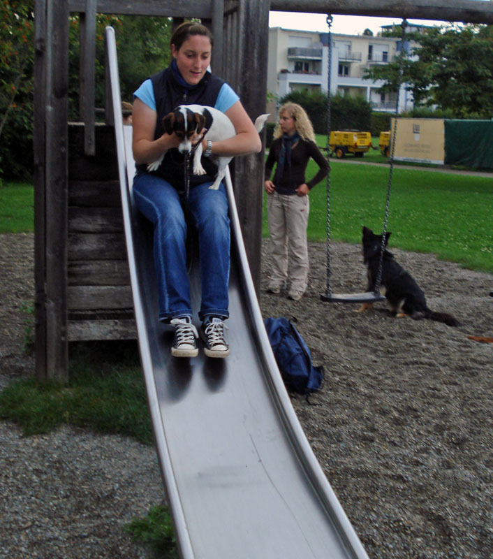 Fit & Fun