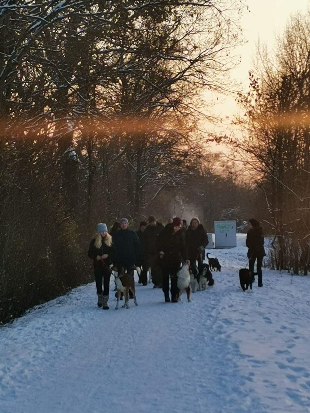Weihnachtsspaziergang 2022