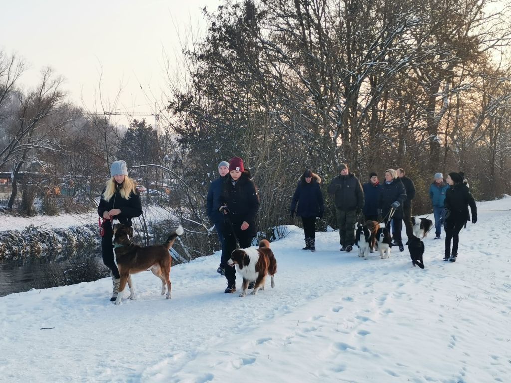 Weihnachtsspaziergang 2022